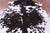 Tricolor Natural Cowhide Rug - Medium 5'9"H x 5'4"W