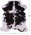 Tricolor Natural Cowhide Rug - Medium 6'0"H x 5'1"W