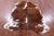 Brindle Natural Cowhide Rug - Large 6'9"H x 5'2"W