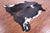 Tricolor Natural Cowhide Rug - XX-Large 7'11"H x 7'7"W