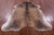 Brown Natural Cowhide Rug - Large 6'7"H x 5'6"W