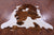 Brown & White Natural Cowhide Rug - X-Large 7'4"H x 6'10"W
