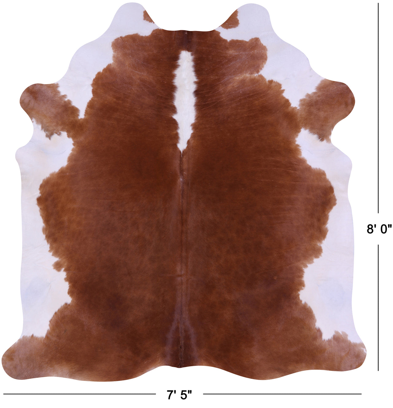 Brown & White Natural Cowhide Rug - XX-Large 8' 0"H x 7' 5"W