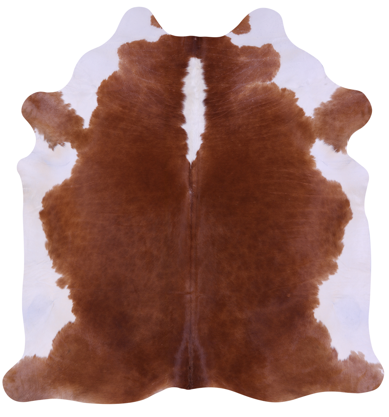 Brown & White Natural Cowhide Rug - XX-Large 8' 0"H x 7' 5"W