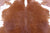 Brown & White Natural Cowhide Rug - XX-Large 8' 0"H x 7' 5"W