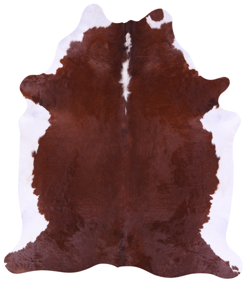 Brown & White Natural Cowhide Rug - XX-Large 8' 3