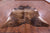 Brindle Natural Brown Cowhide Rug - XX-Large 8' 1"H x 8' 1"W