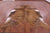 Brindle Natural Brown Cowhide Rug - XX-Large 8' 6"H x 7' 8"W