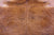 Brindle Natural Brown Cowhide Rug - XX-Large 8' 3"H x 7' 4"W