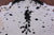 Black & White Natural Cowhide Rug - XX-Large 7' 10"H x 7' 1"W