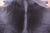 Black Natural Cowhide Rug - XX-Large 8' 0"H x 7' 5"W
