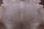 Beige Natural Cowhide Rug - XX-Large 8' 3"H x 7' 0"W