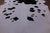 Black & White Natural Cowhide Rug - XX-Large 8' 6"H x 7' 0"W