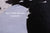 Black Salt & Pepper Natural Cowhide Rug - XX-Large 8' 7"H x 7' 9"W