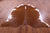 Brown & White Natural Cowhide Rug - XX-Large 8' 0"H x 7' 3"W