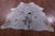 Black Salt & Pepper Natural Cowhide Rug - Medium 6' 0"H x 5' 8"W