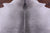 Grey & White Natural Cowhide Rug - Large 6' 6"H x 6' 2"W
