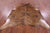 Light Brindle Natural Cowhide Rug - X-Large 7' 0"H x 6' 5"W