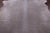 Beige Natural Cowhide Rug - Large 6' 9"H x 5' 10"W