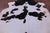 Brown & White Natural Cowhide Rug - X-Large 7' 0"H x 6' 5"W