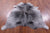 Black Salt & Pepper Natural Cowhide Rug - Medium 6' 2"H x 5' 5"W
