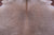 Light Brown Natural Cowhide Rug - Large 6' 4"H x 5' 11"W