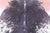 Black Salt & Pepper Natural Cowhide Rug - Large 6' 7"H x 5' 10"W