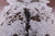 Brown Salt & Pepper Natural Cowhide Rug - Large 6' 5"H x 5' 11"W