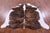 Brindle Natural Cowhide Rug - Medium 5' 8"H x 5' 9"W