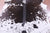 Brown Salt & Pepper Natural Cowhide Rug - Large 6' 5"H x 5' 9"W