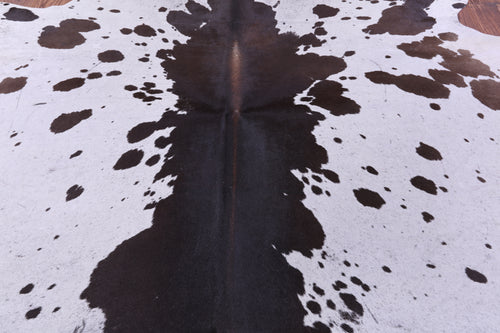 Brown & White Natural Cowhide Rug - Small 5' 5