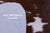 Brown & White Natural Cowhide Rug - Large 6' 4"H x 6' 1"W