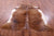 Brindle Natural Brown Cowhide Rug - X-Large 7' 3"H x 6' 7"W