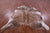 Light Brindle Natural Cowhide Rug - X-Large 7' 5"H x 6' 8"W