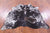 Black Salt & Pepper Natural Cowhide Rug - Small 5' 0"H x 5' 5"W