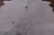 White Natural Cowhide Rug - Small 5' 5"H x 5' 6"W