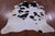Black & White Natural Cowhide Rug - Large 6' 4"H x 5' 5"W