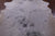 Grey & White Natural Cowhide Rug - Medium 5' 9"H x 5' 3"W