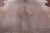 Light Brown Natural Cowhide Rug - Large 6' 4"H x 6' 0"W