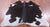 Black Salt & Pepper Natural Cowhide Rug - Small 5' 0"H x 5' 0"W