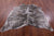 Leopard Animal Print Natural Cowhide Rug - X-Large 7'0"H x 6'5"W