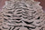 Tiger Animal Print Natural Cowhide Rug - Large 6'7"H x 5'4"W