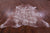 Printed Natural Cowhide Rug - XX-Large 7'10"H x 7'1"W
