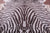 Zebra Animal Print Natural Cowhide Rug - XX-Large 8'6"H x 7'1"W
