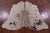 Brown Dyed Natural Cowhide Rug - Medium 5'8"H x 4'10"W