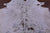Brown Salt & Pepper Natural Cowhide Rug - X-Large 7' 5"H x 6' 9"W