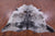 Brown Salt & Pepper Natural Cowhide Rug - XX-Large 8' 3"H x 7' 2"W