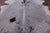 Black Salt & Pepper Natural Cowhide Rug - XX-Large 8' 3"H x 6' 7"W