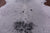 Black Salt & Pepper Natural Cowhide Rug - X-Large 7' 3"H x 7' 0"W