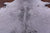 Brown Salt & Pepper Natural Cowhide Rug - X-Large 7' 3"H x 6' 6"W